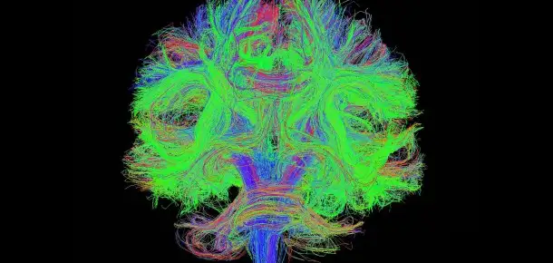 The Universe Within: Wired for Action