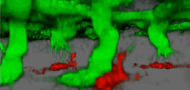 The Universe Within: Holiday Visions