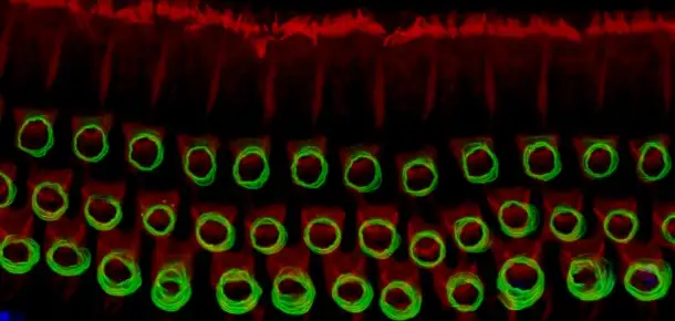 The Universe Within: Our Communications Equipment