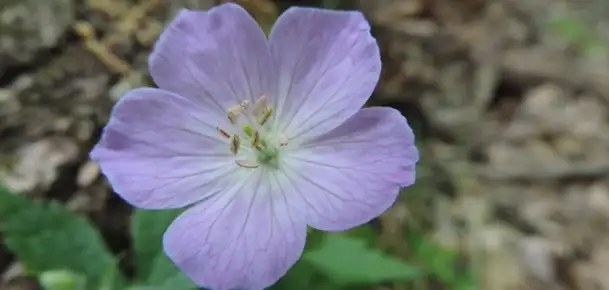 May Hikes: Neurons, Wheels, and Trails