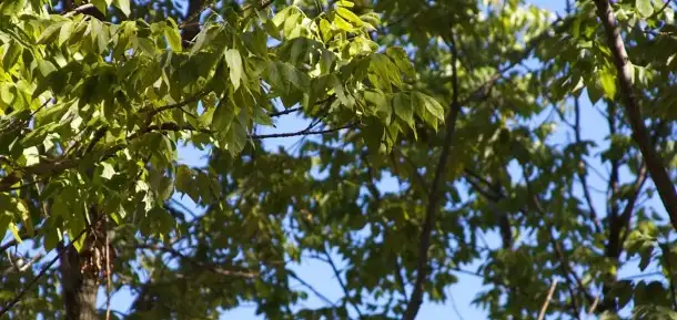 End of Summer Hikes and Discoveries