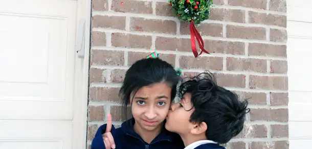 Holiday Plants: Friend or Foe?