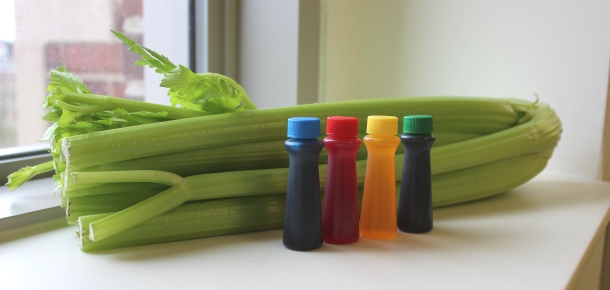 Celery and Food Coloring Experiment | Pin of the Week