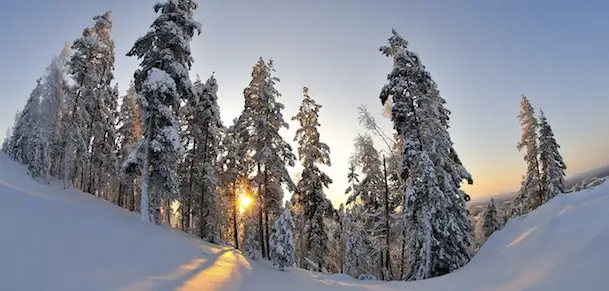 Olympic Athlete Shaun White Overcomes Congenital Heart Condition