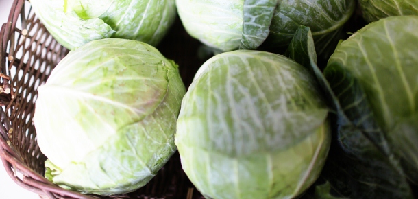 Vegetable Spotlight: Cabbage