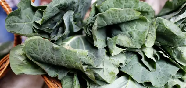Vegetable Spotlight: Kale