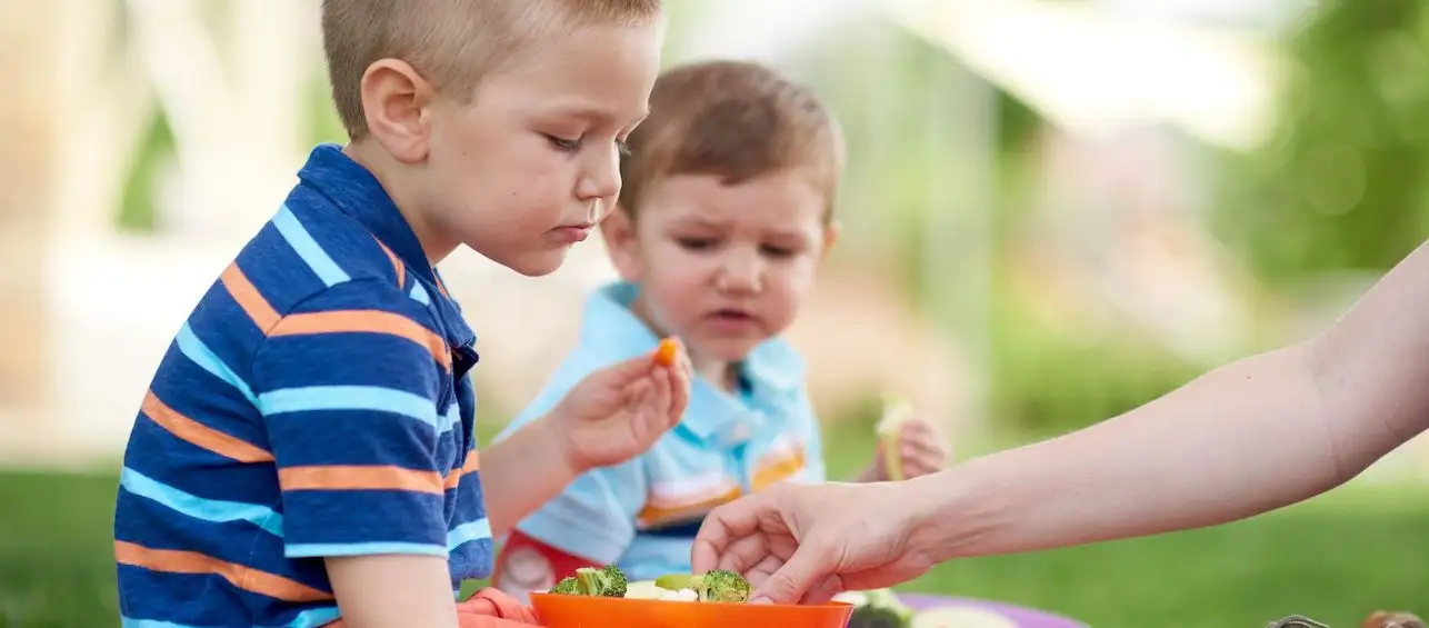 Life’s A Picnic (But Keep These Things In Mind When There)