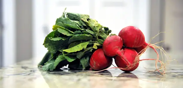 Vegetable Spotlight: Radishes