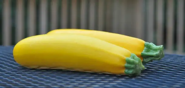 Vegetable Spotlight: Summer Squash