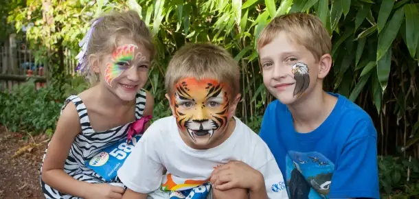 Cincinnati Walks for Kids 2014: Exciting New Features