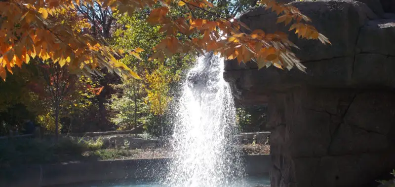 How ‘Patiently Made’ Has Brought Us Closer Together