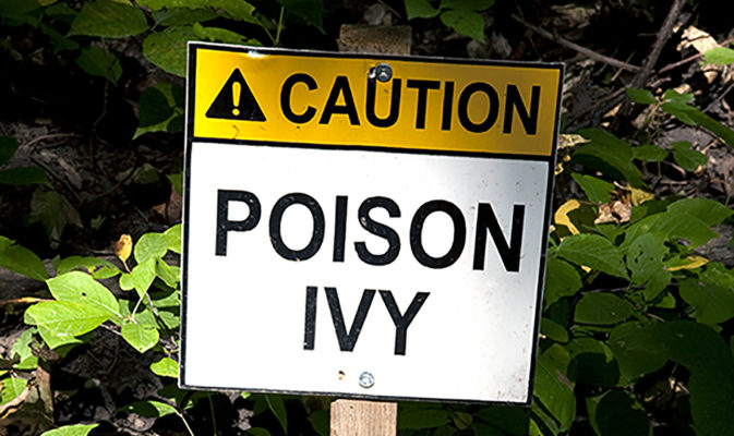 Poison Ivy, Poison Oak and Sumac FAQ