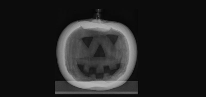 pumpkin-cut-x-ray-copy2