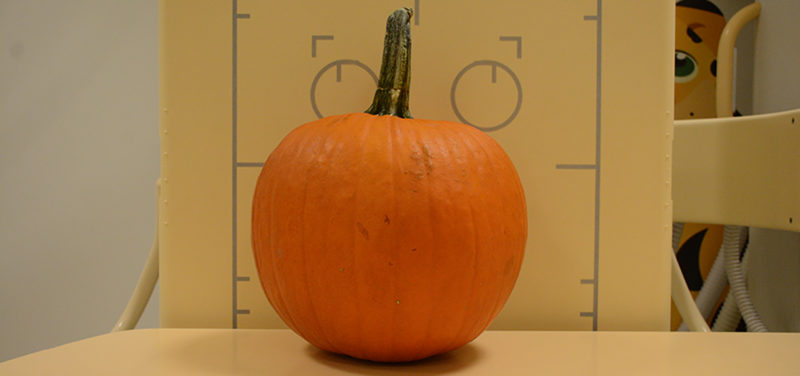 pumpkin-uncut-original