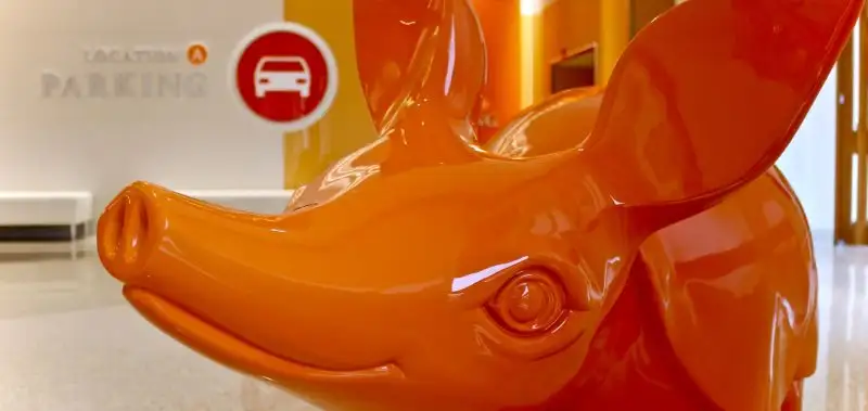 New Animals Highlight Burnet Campus Concourse Updates