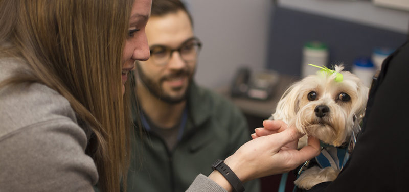 Volunteer Dog Program Makes Another Visit to Radiology