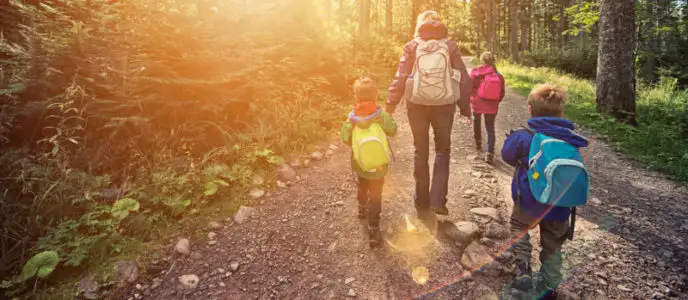 Stay Safe Outside this Fall: Avoid Wild Mushrooms and Berries