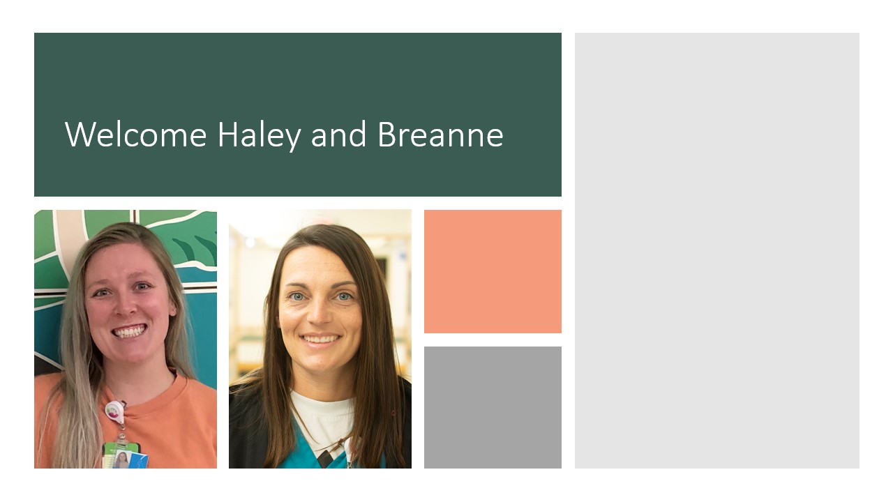 Welcome Haley Hirn and Breanne Bond