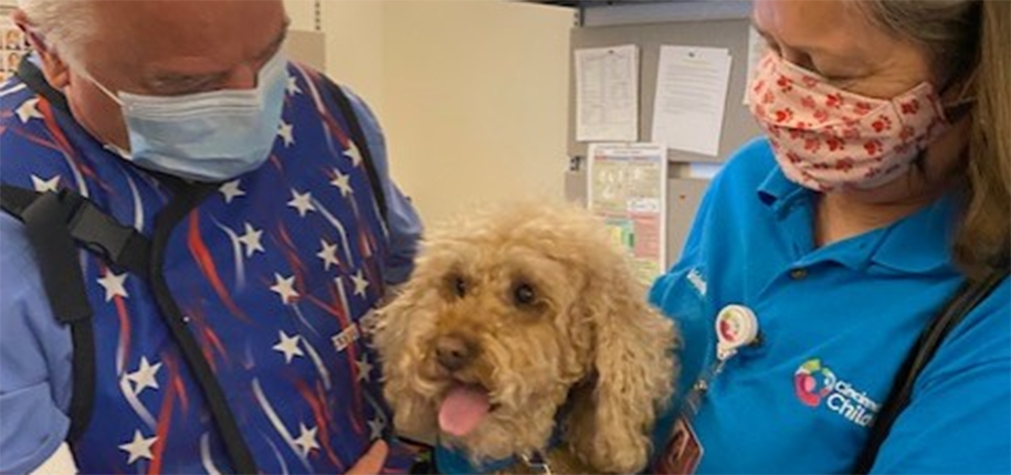 Volunteer Dog Visit Program Returns to Radiology