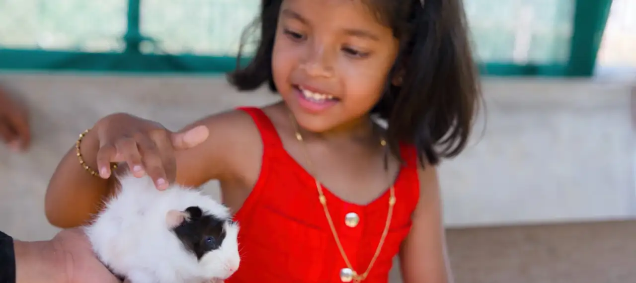 6 Precautions to Take When Visiting Petting Zoos