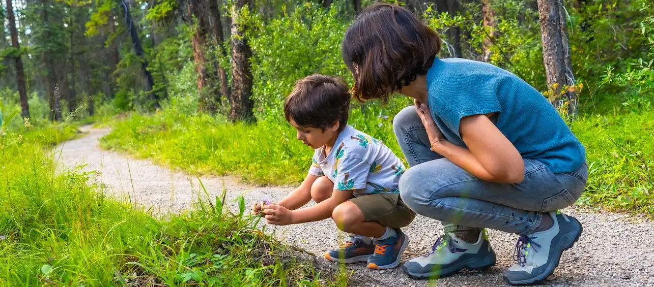 Poisonous and Nonpoisonous Plants: What Every Family Should Know
